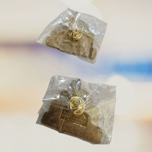 Walt Disney World 25th Anniversary Cinderella Collectible Pin (1971-1996) X2 - Picture 2 of 2